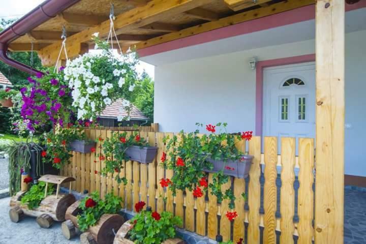 Guesthouse Ella Slunj Bagian luar foto
